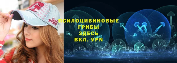 тгк Алзамай
