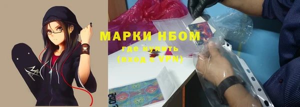 тгк Алзамай