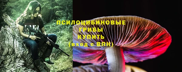 мяу мяу мука Алексеевка