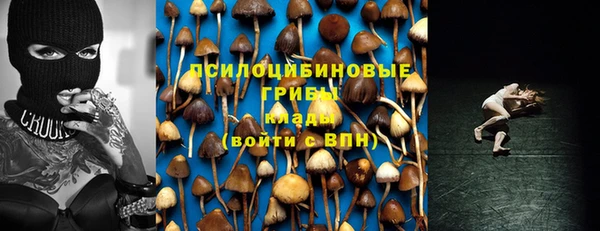 мескалин Осинники